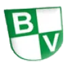 BV Grün Weiß Holt *