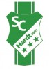 Alle Spielpläne der Hallenstadtmeisterschaft