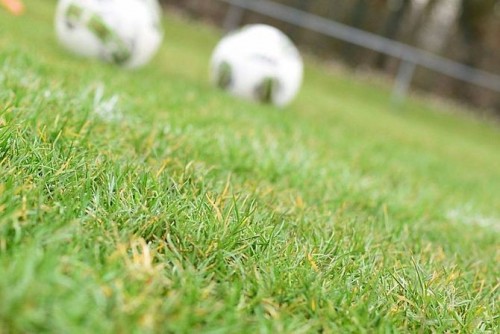 FuPa: FVN plant offenbar Spielpause im November