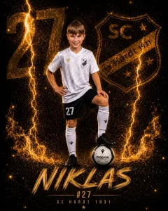Niklas P.